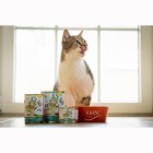 Katze Nassfutter Nautilus Ragout 400g 6 Stück -3- Anifit